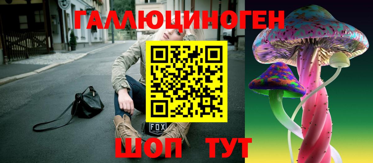 Псилоцибиновые грибы прущие грибы Клин